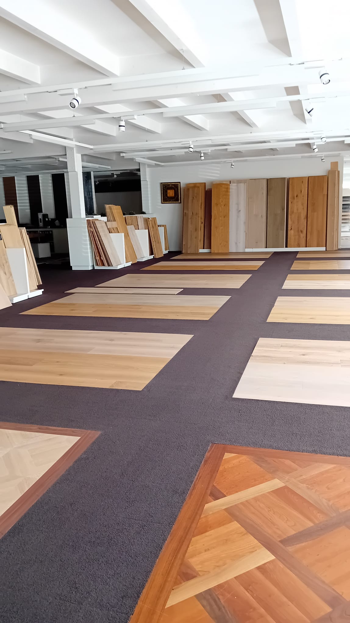 Photo du showroom